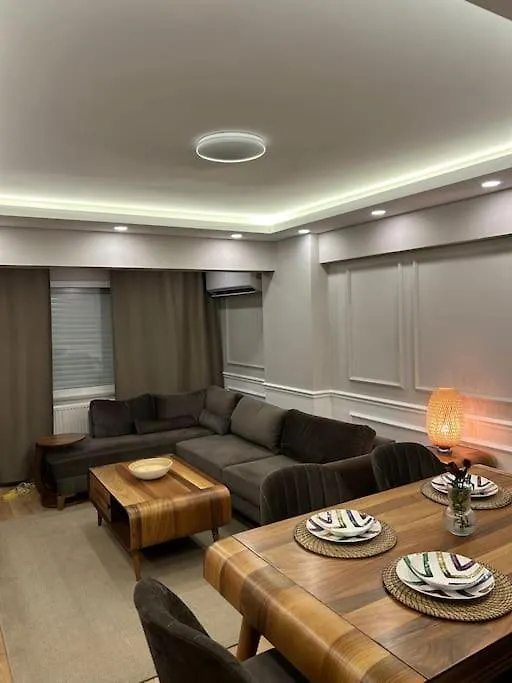 Modern Apartment In Besiktas Istanbul Turkey